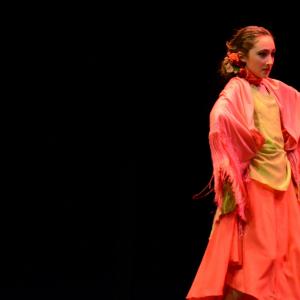 Fotografía de Concurso de coreografías 2013 Nivel I - Conservatorio de Danza