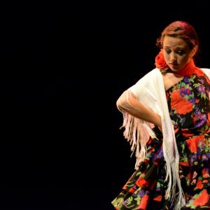 Fotografía de Concurso de coreografías 2013 Nivel I - Conservatorio de Danza