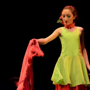 Fotografía de Concurso de coreografías 2013 Nivel I - Conservatorio de Danza