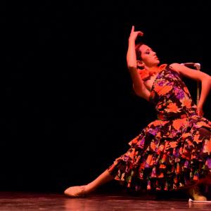 Fotografía de Concurso de coreografías 2013 Nivel I - Conservatorio de Danza