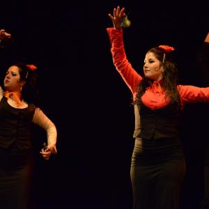 Fotografía de Concurso de coreografías 2013 Nivel I - Conservatorio de Danza
