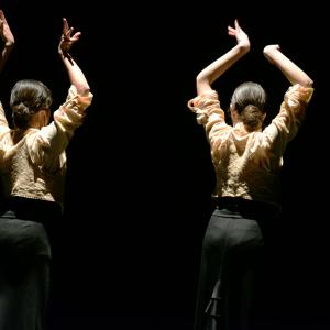 Fotografía de Concurso de coreografías 2013 Nivel I - Conservatorio de Danza