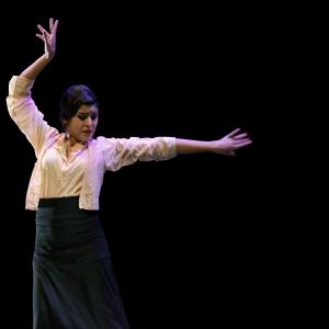Fotografía de Concurso de coreografías 2013 Nivel I - Conservatorio de Danza