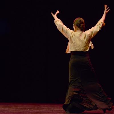 Fotografía de Concurso de coreografías 2013 Nivel II - Conservatorio de Danza