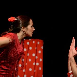 Fotografía de El flamenco es ansí - El Pelito