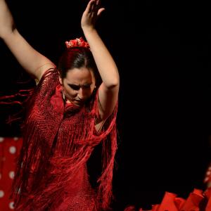 Fotografía de El flamenco es ansí - El Pelito