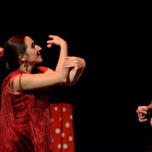 Fotografía de El flamenco es ansí - El Pelito