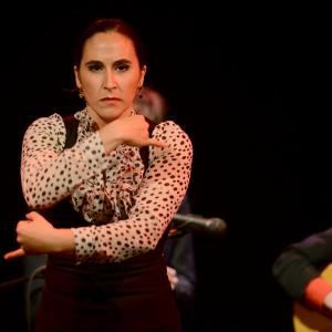 Fotografía de El flamenco es ansí - El Pelito
