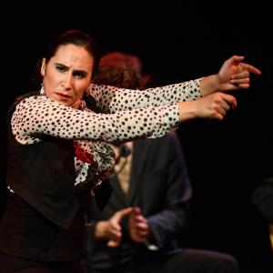 Fotografía de El flamenco es ansí - El Pelito