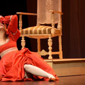 Fotografía de El Torreón: El Perro del Hortelano - Grupo teatral El Torreón