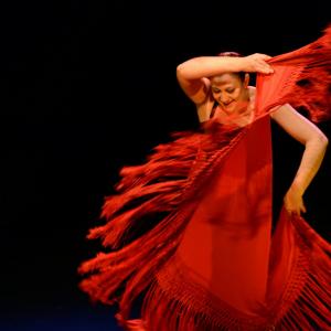 Fotografía de Choni Cía flamenca: Dos en compañía - 