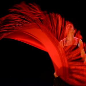 Fotografía de Choni Cía flamenca: Dos en compañía - 