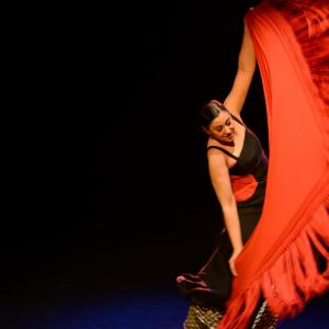 Fotografía de Choni Cía flamenca: Dos en compañía - 