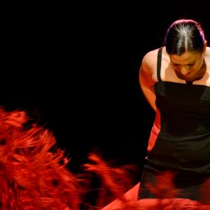 Fotografía de Choni Cía flamenca: Dos en compañía - 