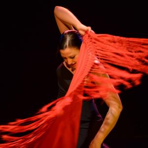 Fotografía de Choni Cía flamenca: Dos en compañía - 