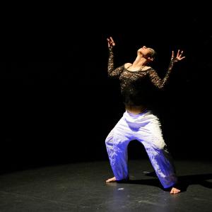 Fotografía de Danzaart 2013 - 