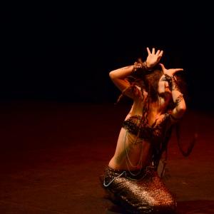 Fotografía de Danzaart 2013 - 