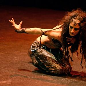 Fotografía de Danzaart 2013 - 