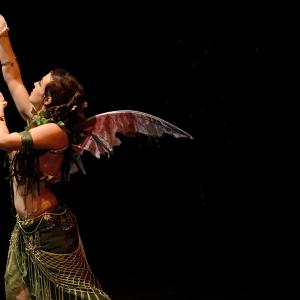Fotografía de Danzaart 2013 - 
