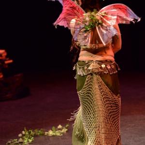 Fotografía de Danzaart 2013 - 