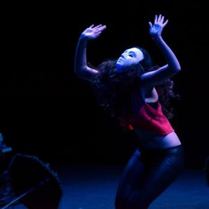 Fotografía de Danzaart 2013 - 