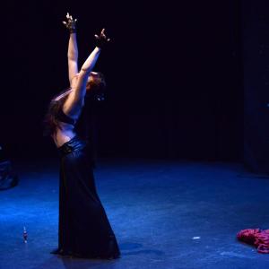 Fotografía de Danzaart 2013 - 