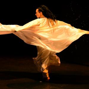 Fotografía de Danzaart 2013 - 