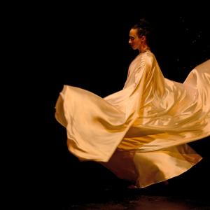 Fotografía de Danzaart 2013 - 