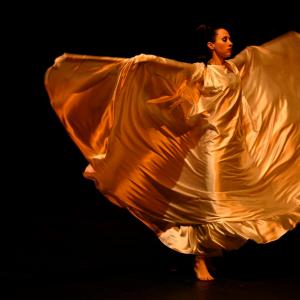 Fotografía de Danzaart 2013 - 