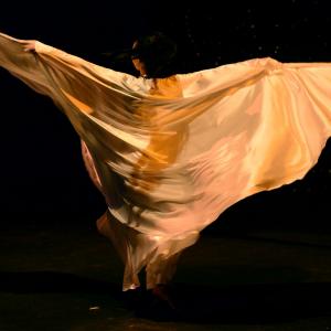 Fotografía de Danzaart 2013 - 