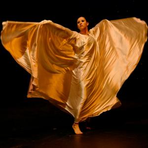 Fotografía de Danzaart 2013 - 