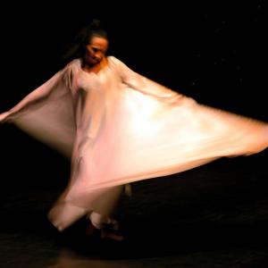 Fotografía de Danzaart 2013 - 