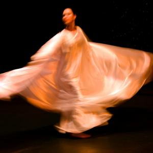 Fotografía de Danzaart 2013 - 
