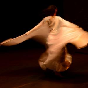 Fotografía de Danzaart 2013 - 