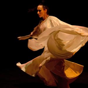 Fotografía de Danzaart 2013 - 