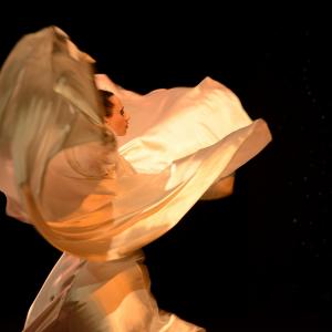 Fotografía de Danzaart 2013 - 