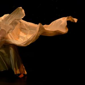 Fotografía de Danzaart 2013 - 
