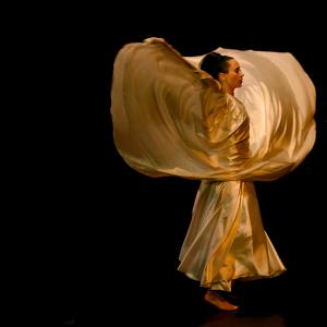 Fotografía de Danzaart 2013 - 