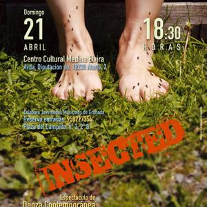 Fotografía de Insected - 