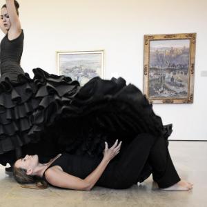Fotografía de Asalto a los museos: Polos opuestos - Conservatorio de Danza
