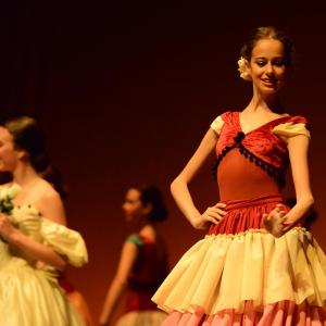 Fotografía de Conservatorio de Danza. Talleres 2013 de Danza Clásica - Conservatorio de Danza