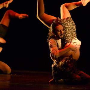 Fotografía de Conservatorio de Danza. Talleres 2013 de Danza Contemporánea - Conservatorio de Danza
