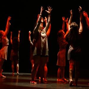 Fotografía de Conservatorio de Danza. Talleres 2013 de Danza Contemporánea - Conservatorio de Danza
