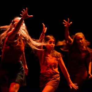 Fotografía de Conservatorio de Danza. Talleres 2013 de Danza Contemporánea - Conservatorio de Danza