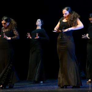 Fotografía de Conservatorio de Danza. Talleres 2013 de Baile Flamenco - Conservatorio de Danza