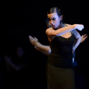 Fotografía de Conservatorio de Danza. Talleres 2013 de Baile Flamenco - Conservatorio de Danza