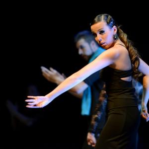 Fotografía de Conservatorio de Danza. Talleres 2013 de Baile Flamenco - Conservatorio de Danza