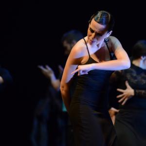 Fotografía de Conservatorio de Danza. Talleres 2013 de Baile Flamenco - Conservatorio de Danza