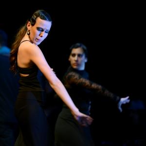 Fotografía de Conservatorio de Danza. Talleres 2013 de Baile Flamenco - Conservatorio de Danza