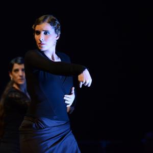 Fotografía de Conservatorio de Danza. Talleres 2013 de Baile Flamenco - Conservatorio de Danza